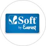 assistencia-tecnica-soft-by-everest-em-bh-150x150